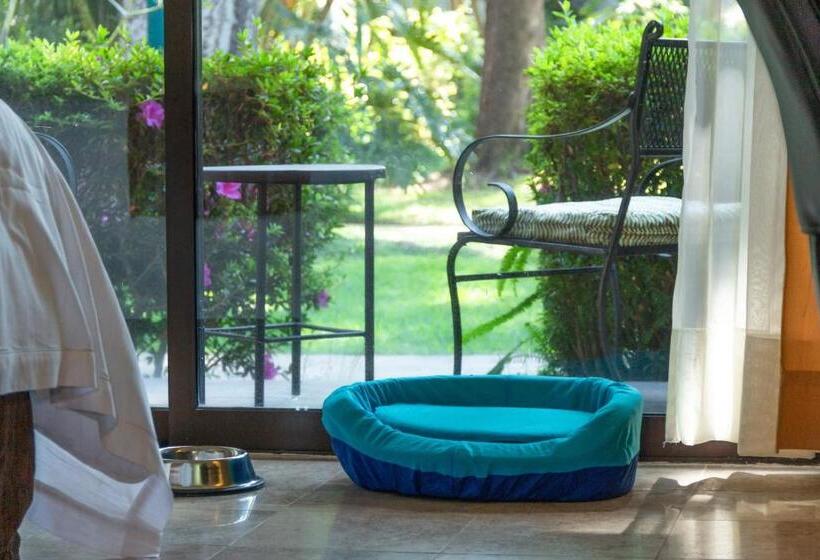 غرفة قياسية, Wyndham Garden Guadalajara Expo Plaza Del Sol