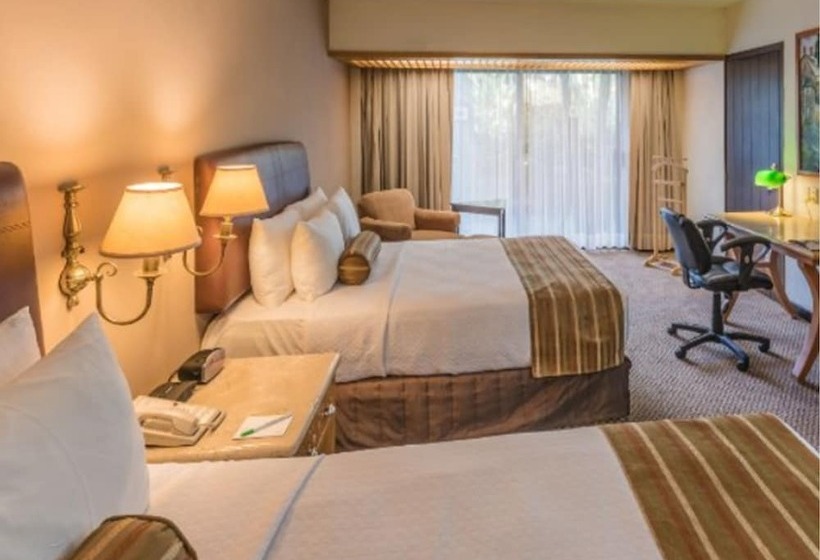 ２ダブルベッドのスタンダードルーム, Wyndham Garden Guadalajara Expo Plaza Del Sol
