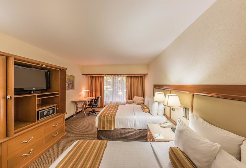 غرفه قياسيه سريرين مزدوجين, Wyndham Garden Guadalajara Expo Plaza Del Sol