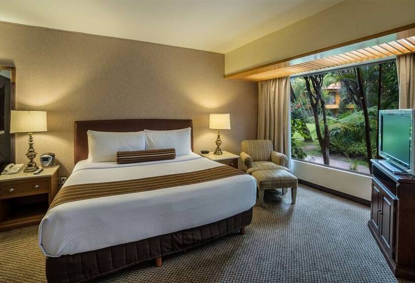 小型套房, Wyndham Garden Guadalajara Expo Plaza Del Sol