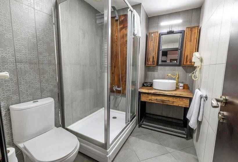 Superior Room, Karakoy Aparts