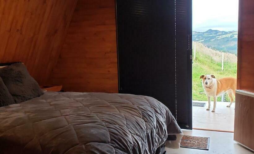 스탠다드 룸, Glamping Hakuna Matata