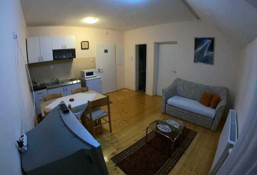 اتاق استاندارد با تراس, Vila Jovanka Zlatibor