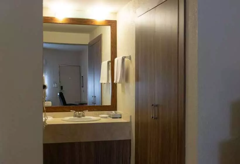 ２ダブルベッドのスタンダードルーム, Best Western Cumbres Inn Cd. Cuauhtemoc