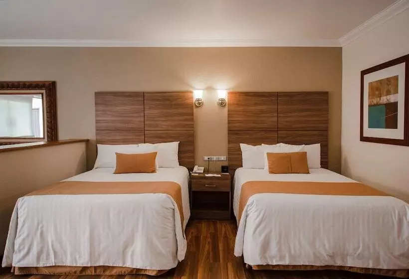２ダブルベッドのスタンダードルーム, Best Western Cumbres Inn Cd. Cuauhtemoc