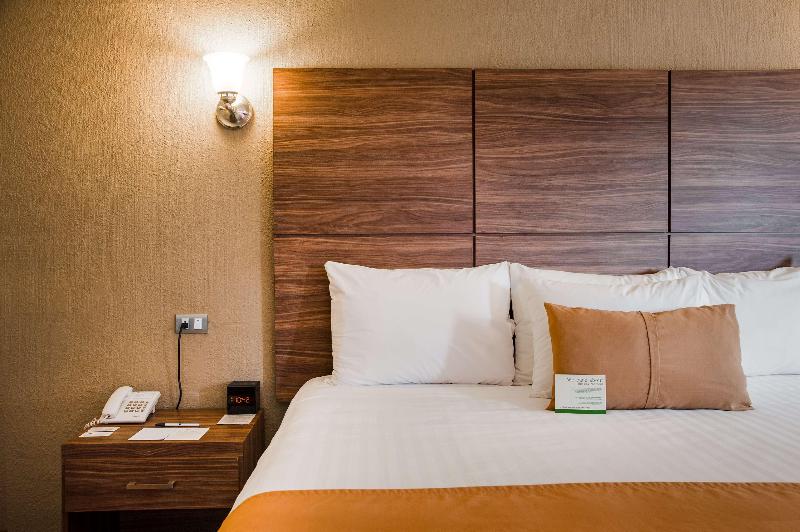 스탠다드 룸 킹사이즈 침대, Best Western Cumbres Inn Cd. Cuauhtemoc