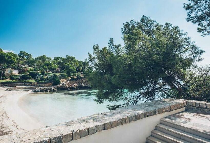 غرفة قياسية, The Donna Portals