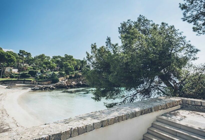 غرفة قياسية, The Donna Portals