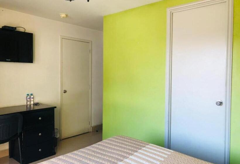 スタンダードルーム, Ruah