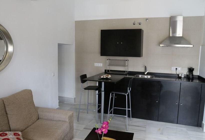 شقة غرفة واحدة, Palacio De Luja