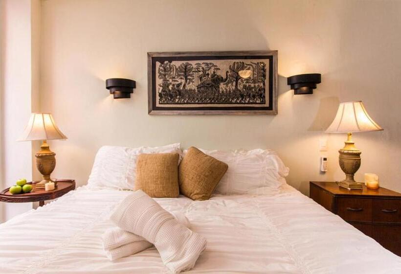 带大床的标准间, Garlands Del Rio