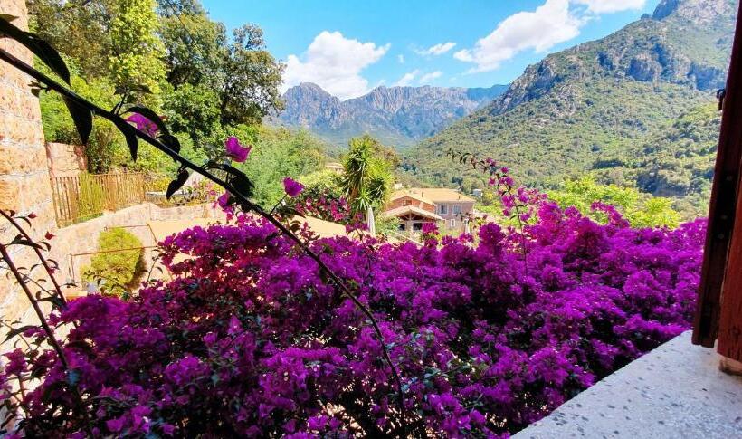 스탠다드 룸 산 전망, Bella Vista