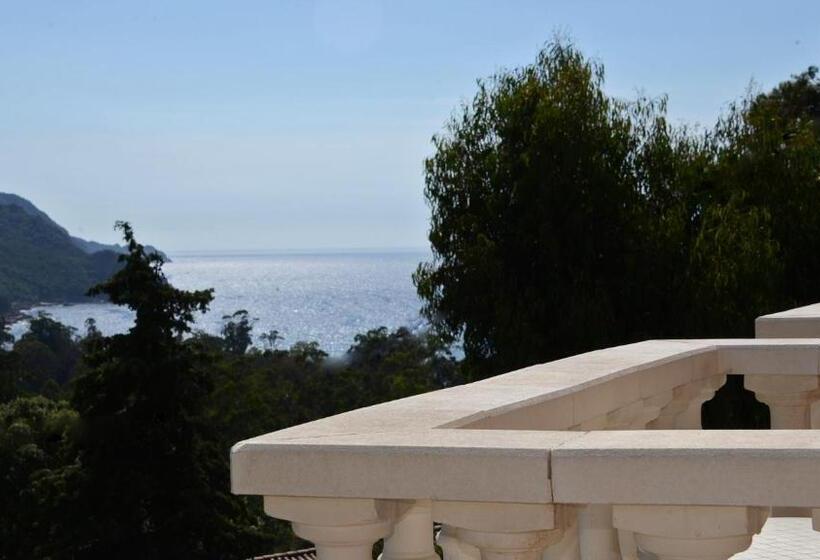 스탠다드 트리플 룸, Bella Vista