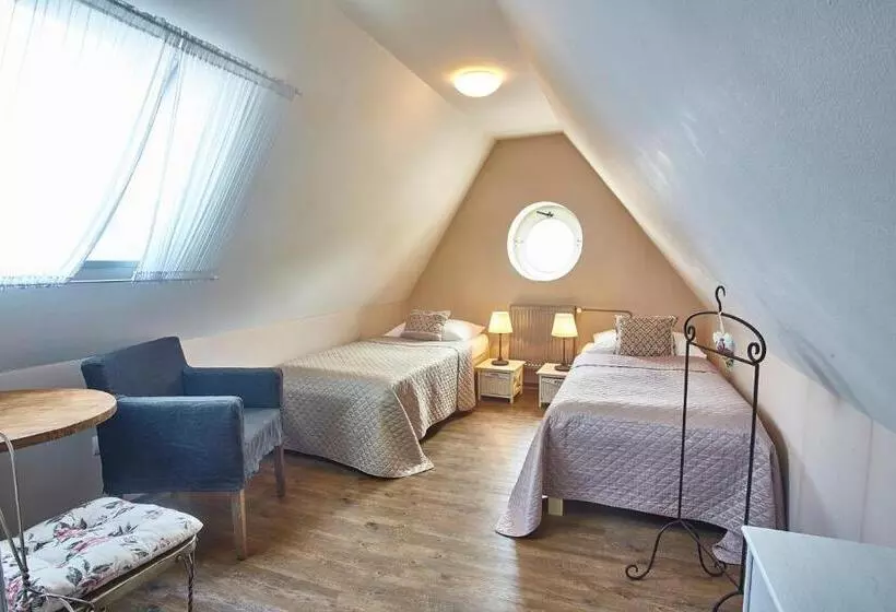 屋根裏部屋風スタンダードルーム, Penzion Kostnický Dům