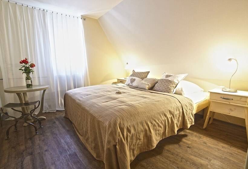 컴포트 룸, Penzion Kostnický Dům