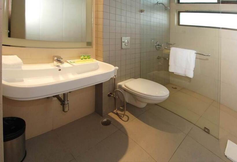 豪华房间, Silver Ark