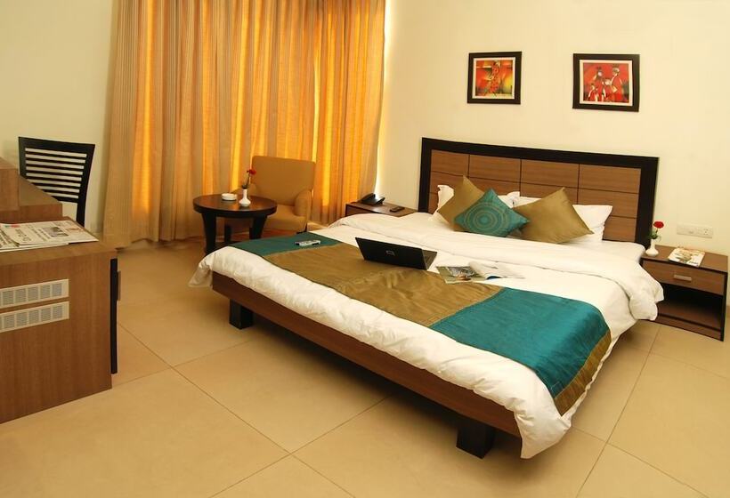 豪华房间, Silver Ark