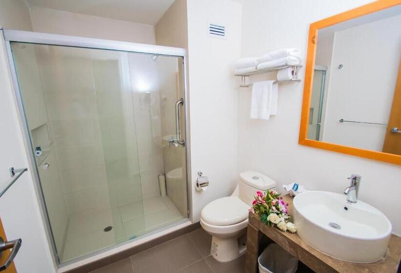 غرفة قياسية, Sleep Inn Monclova