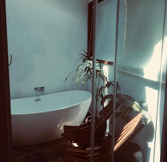 سوییت جونیور, Zentik Project & Saline Cave