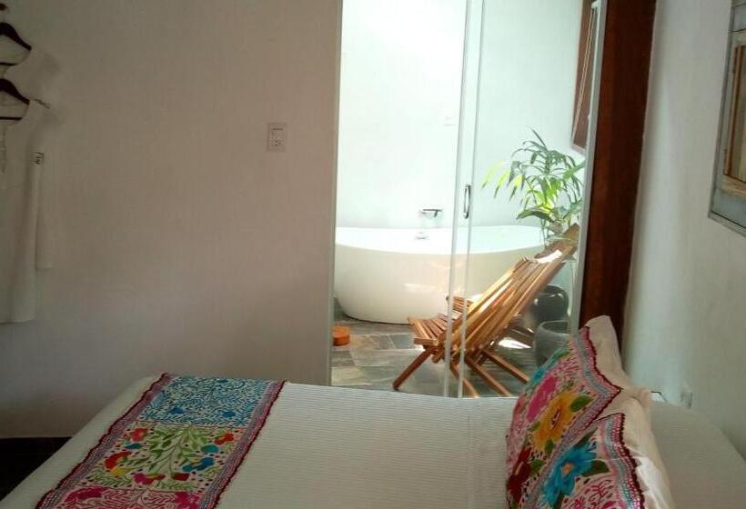 سوییت جونیور, Zentik Project & Saline Cave