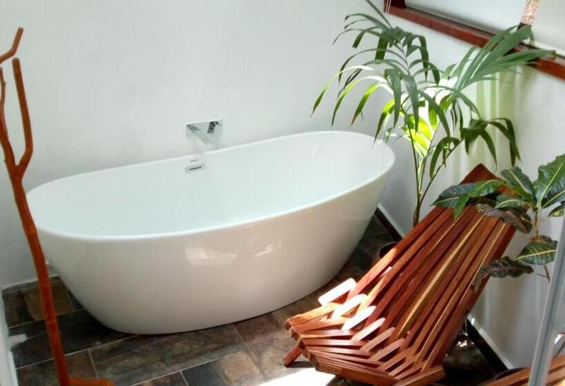 سوییت جونیور, Zentik Project & Saline Cave