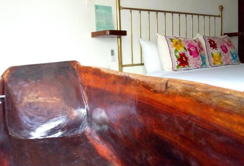 سوییت جونیور, Zentik Project & Saline Cave