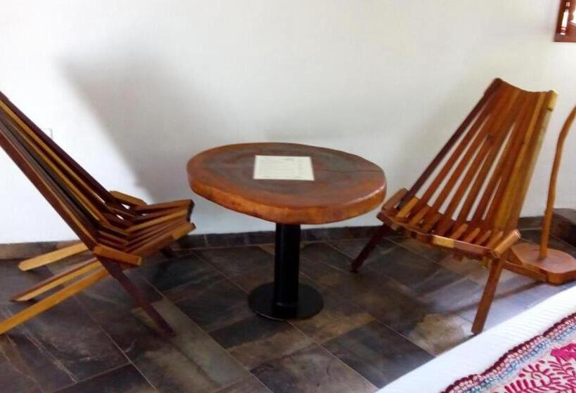 سوییت جونیور, Zentik Project & Saline Cave