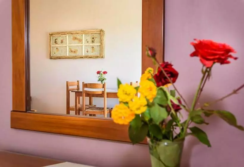 استودیوی استاندارد, Irinoula Dreams