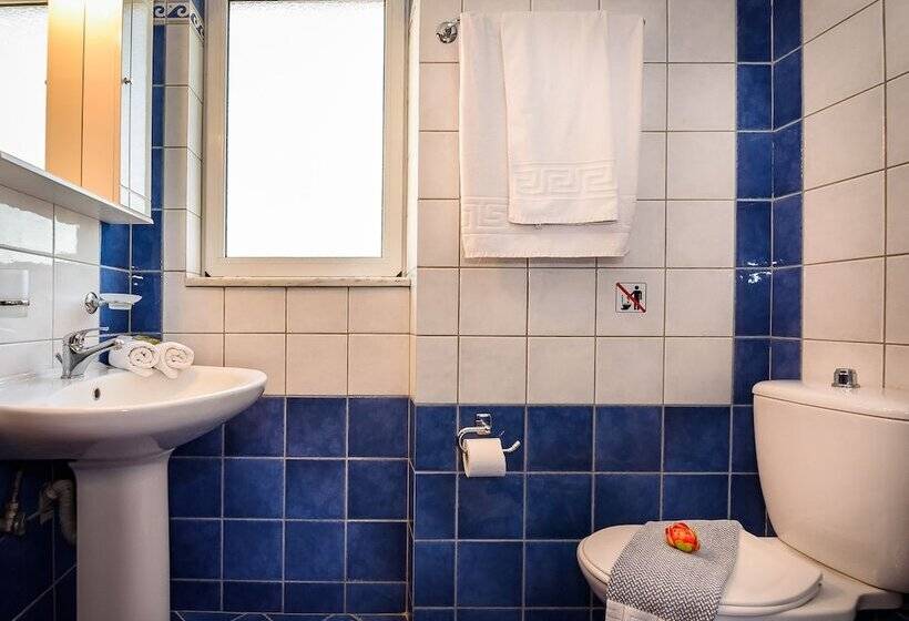 带1个卧室的公寓, Irinoula Dreams