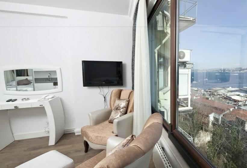 スタンダードルーム, Molton Kabatas