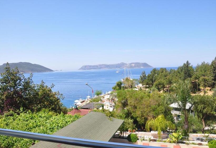 Quarto Estandar Vista Mar, Nur