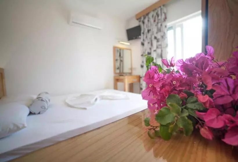 Camera Standard Vista Mare, Nur