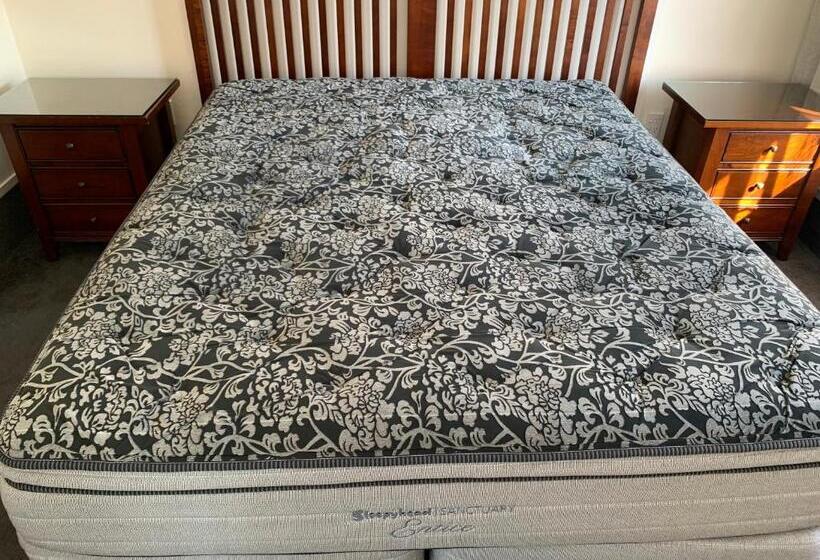 סטודיו סופריור, 755 Regal Court Motel