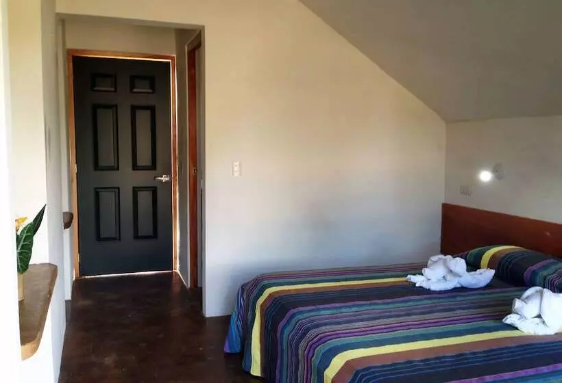 اتاق استاندارد با 2 تخت دوبل, Axkan Palenque