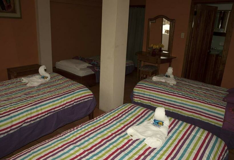 패밀리 룸, Castro Galapagos