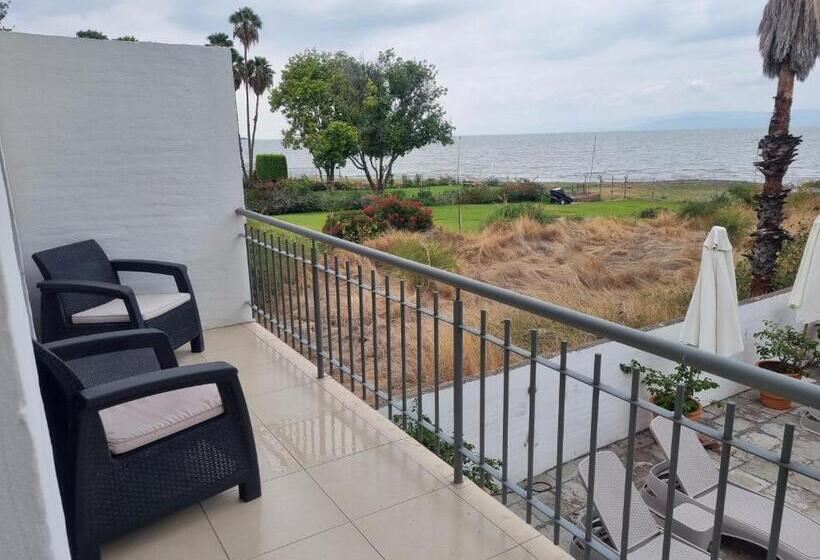 带大床的标准间, La Ribereña