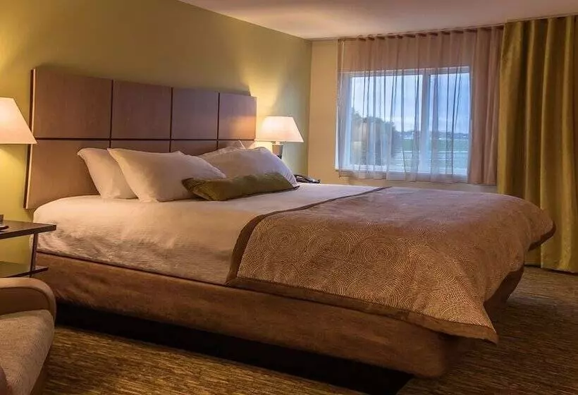 スタンダードスタジオ, Candlewood Suites Gonzales   Baton Rouge Area, An Ihg