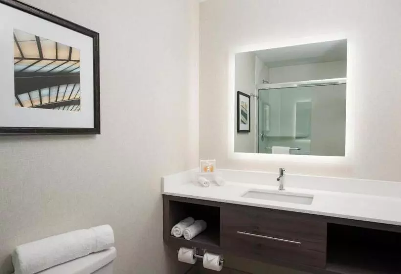 Deluxe-huone King-vuode, Holiday Inn Cleveland Clinic, An Ihg