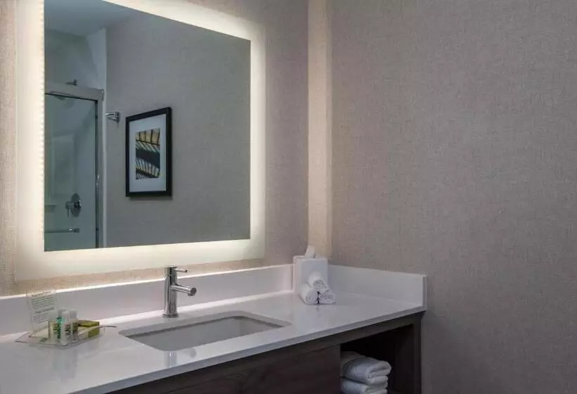Deluxe-huone King-vuode, Holiday Inn Cleveland Clinic, An Ihg