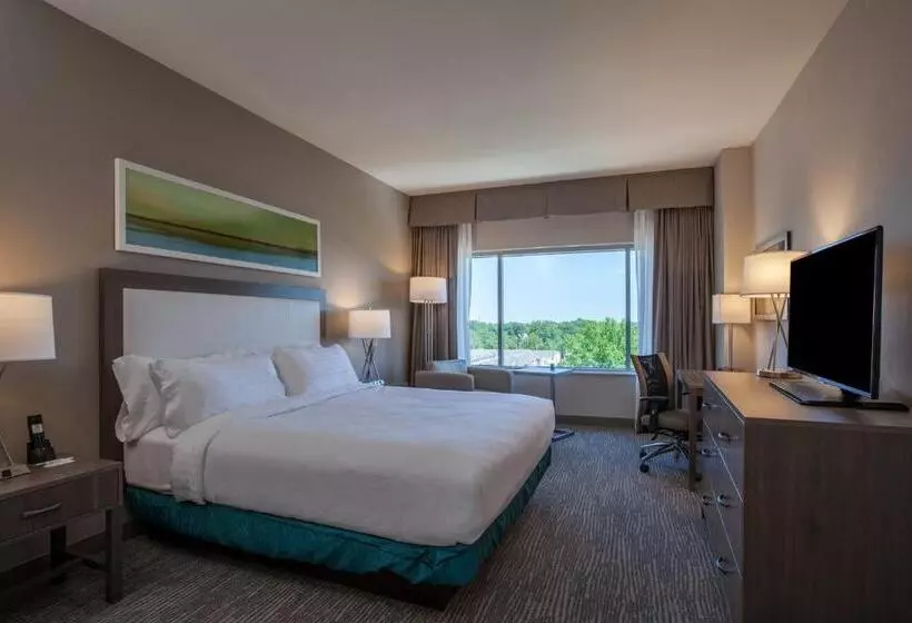 Standard-invahuone King-vuode, Holiday Inn Cleveland Clinic, An Ihg