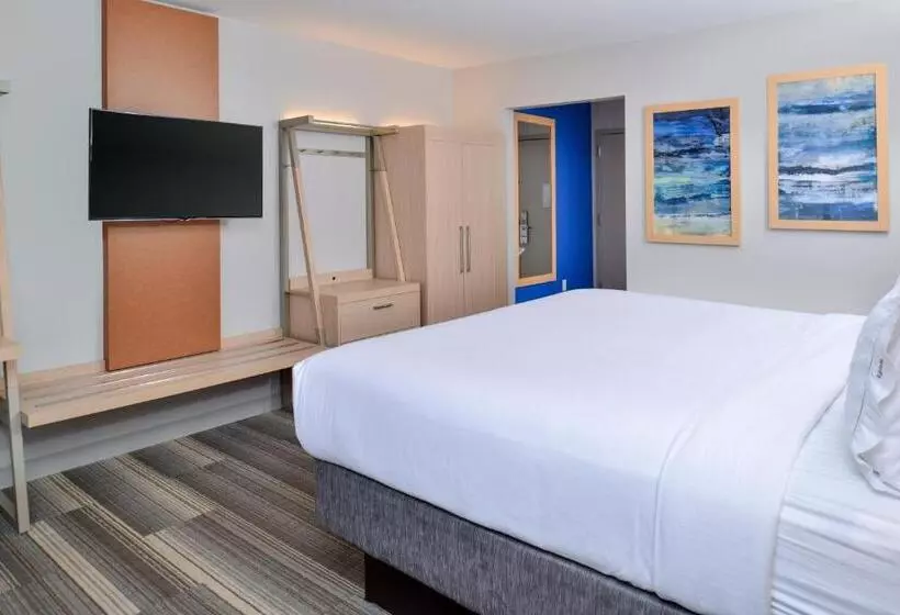 身障者適用スイートルーム, Holiday Inn Express & Suites Farmington Hills   Detroit, An Ihg
