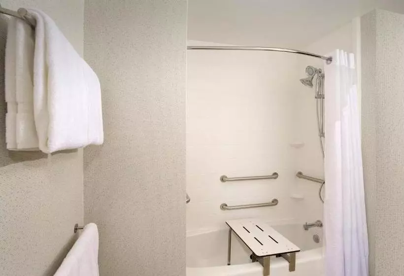 身障者適用スイートルーム, Holiday Inn Express & Suites New Braunfels, An Ihg