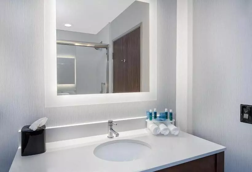 スタンダードルーム, Holiday Inn Express & Suites Round Rock   Austin N, An Ihg