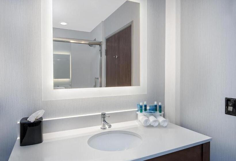 장애인을 위한 킹사이즈 침대 스탠다드 룸, Holiday Inn Express & Suites Round Rock   Austin N, An Ihg