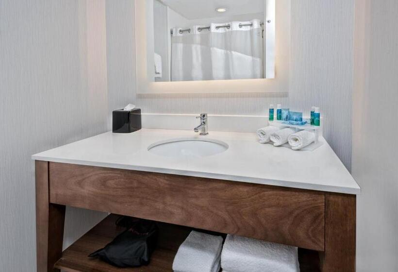 Номер Стандарт Кровать Кинг Адаптированный для Инвалидов, Holiday Inn Express & Suites Round Rock   Austin N, An Ihg