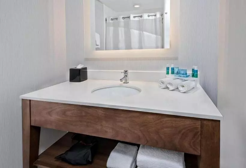 身障者適用スイートルーム, Holiday Inn Express & Suites Round Rock   Austin N, An Ihg