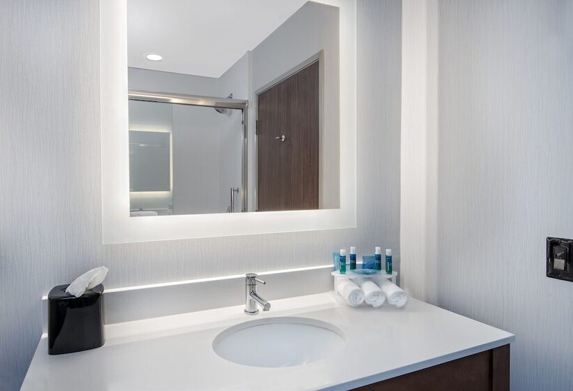 스위트, Holiday Inn Express & Suites Round Rock   Austin N, An Ihg