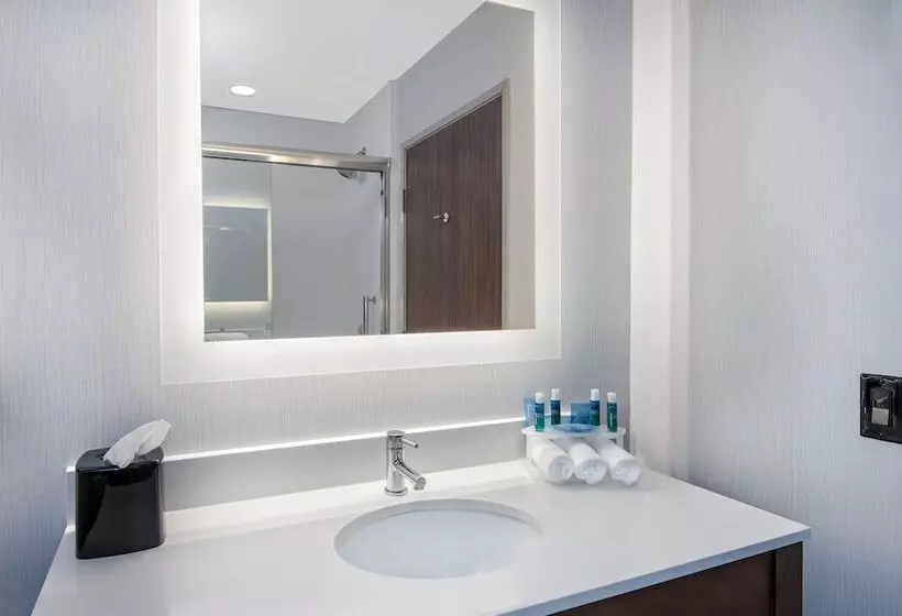 スイート, Holiday Inn Express & Suites Round Rock   Austin N, An Ihg
