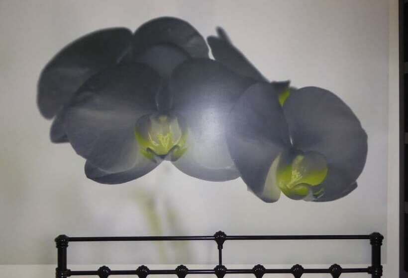 标准间, Bamboo Guest House