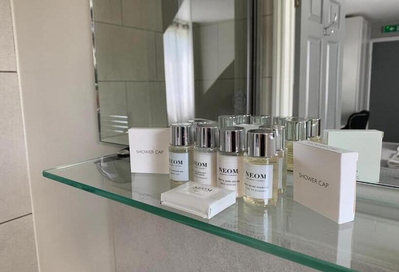 غرفة قياسية ثلاثية, Badgemore Park